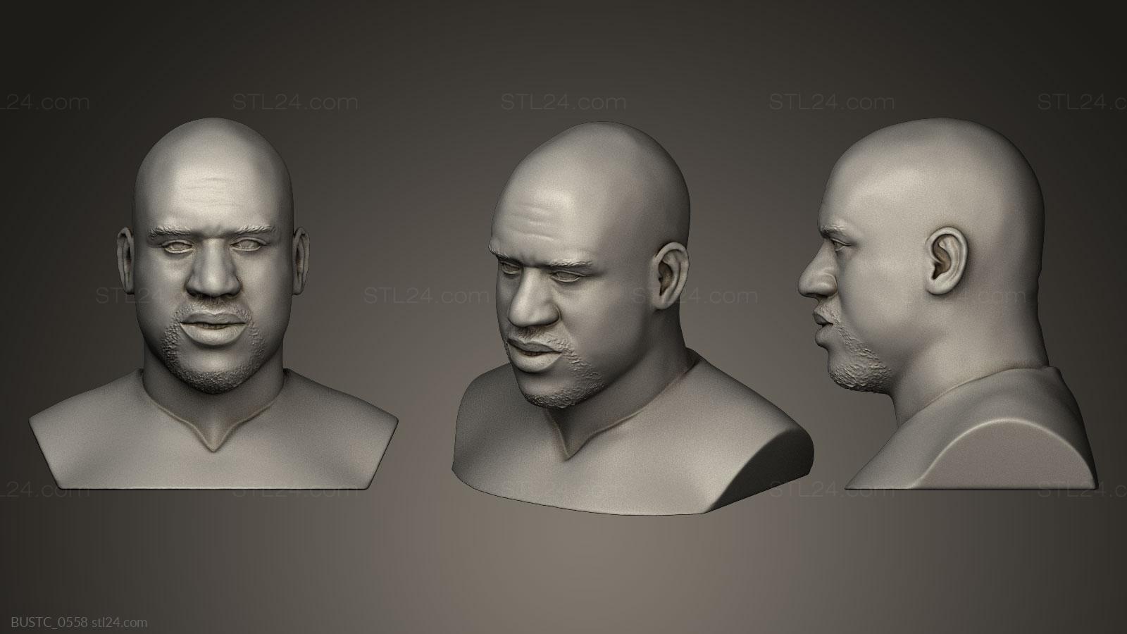 Бюсты и барельефы известных личностей (Шакилл О Нил, BUSTC_0558) 3D модель для ЧПУ станка